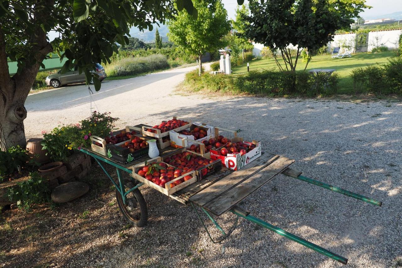 Agriturismo Fior Di Maggio Pescantina Exterior photo