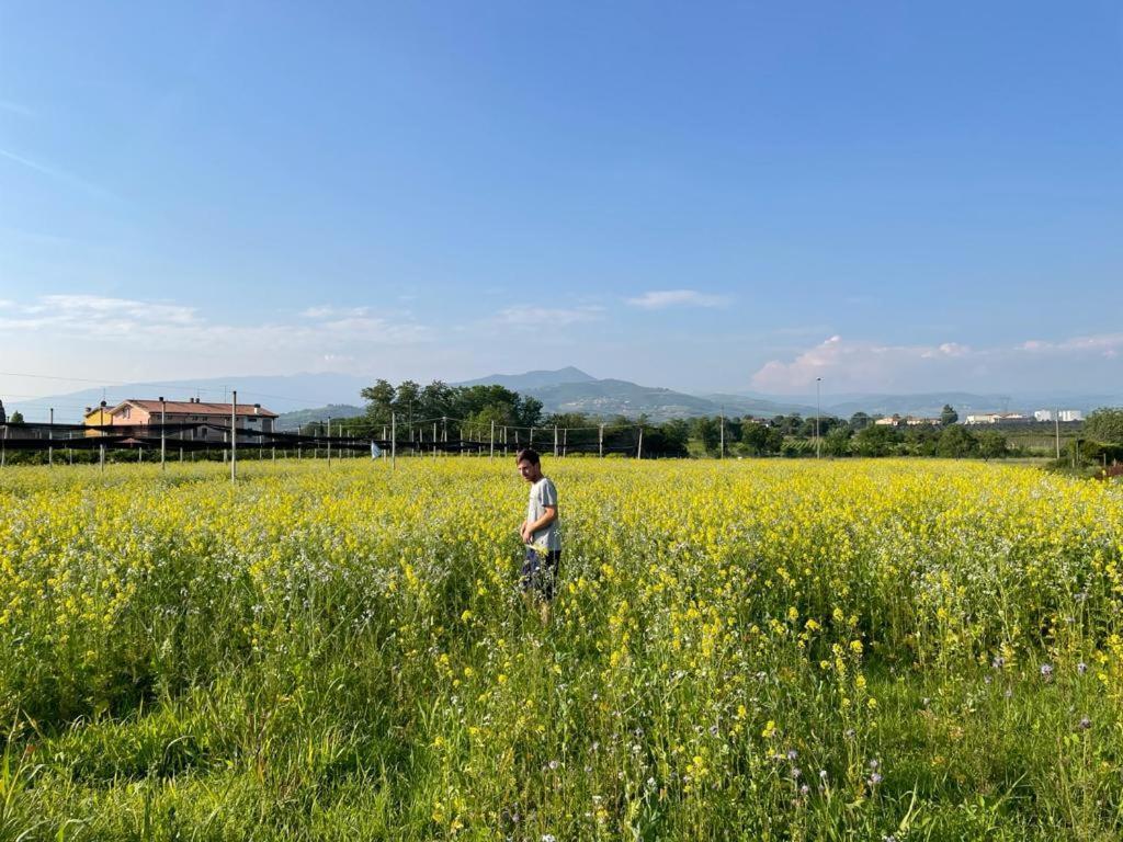 Agriturismo Fior Di Maggio Pescantina Exterior photo