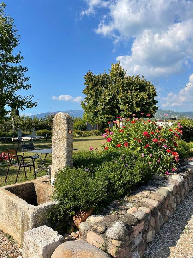 Agriturismo Fior Di Maggio Pescantina Exterior photo