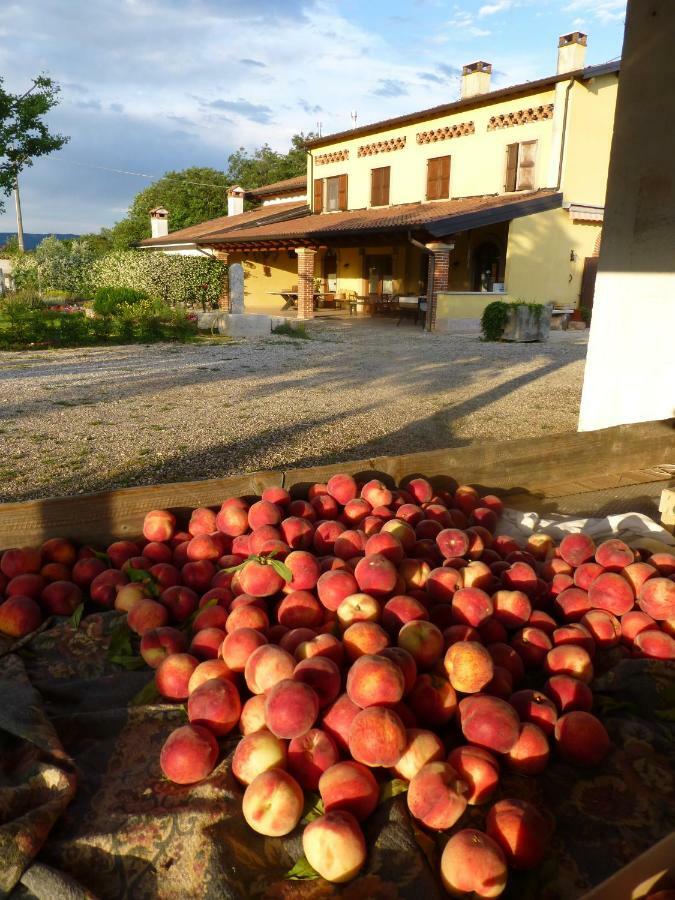 Agriturismo Fior Di Maggio Pescantina Exterior photo